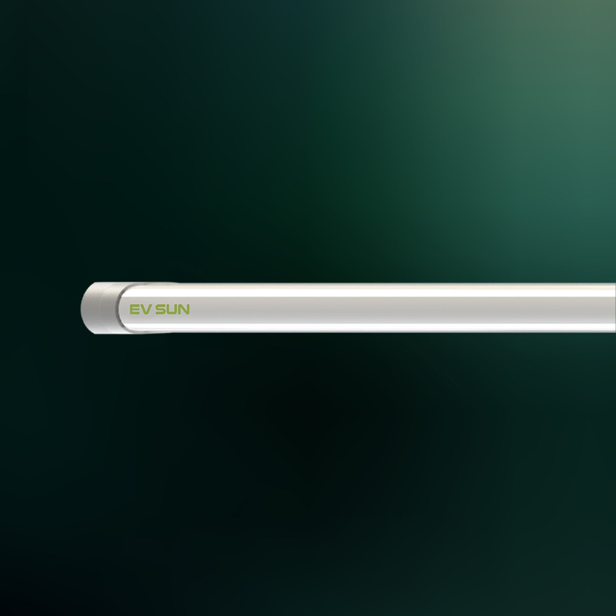 Tube Light (T8)